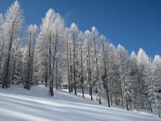 Klik za večjo sliko